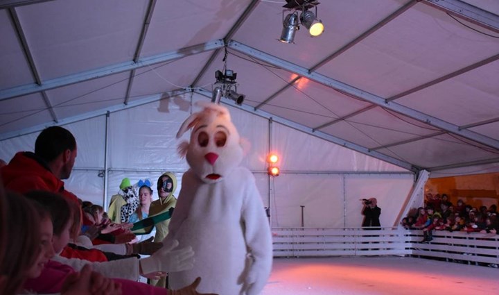 "Ein ungewöhnlicher Eiszauber" - Show auf dem Eis mit dem Eislaufclub „Medo“     2